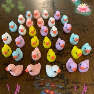 Miniature ducks resin miniature ducks set 10 PCs home decorations fairy garden